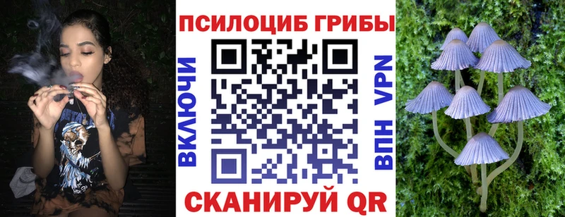 Псилоцибиновые грибы ЛСД  Соль-Илецк 